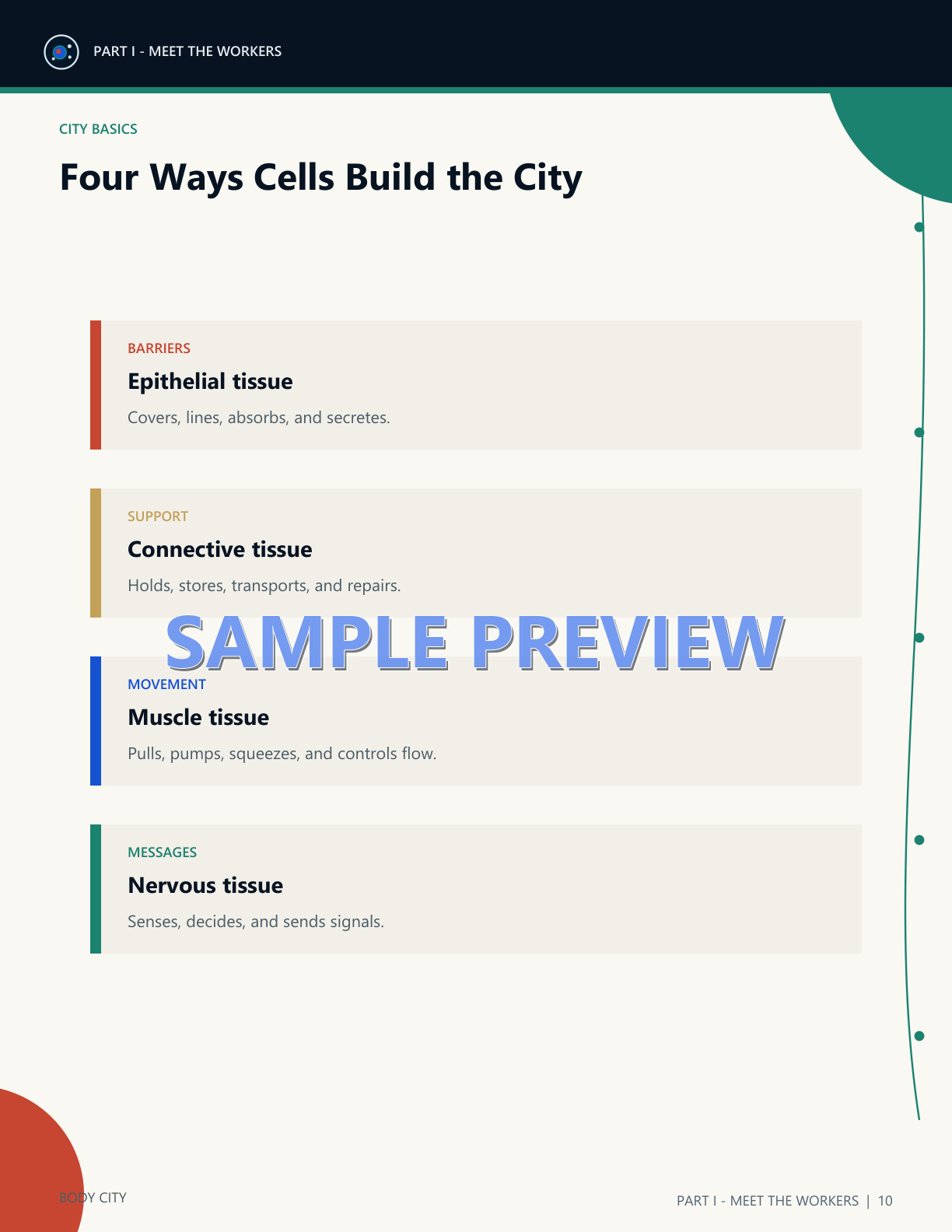 Body City anatomy learning sample