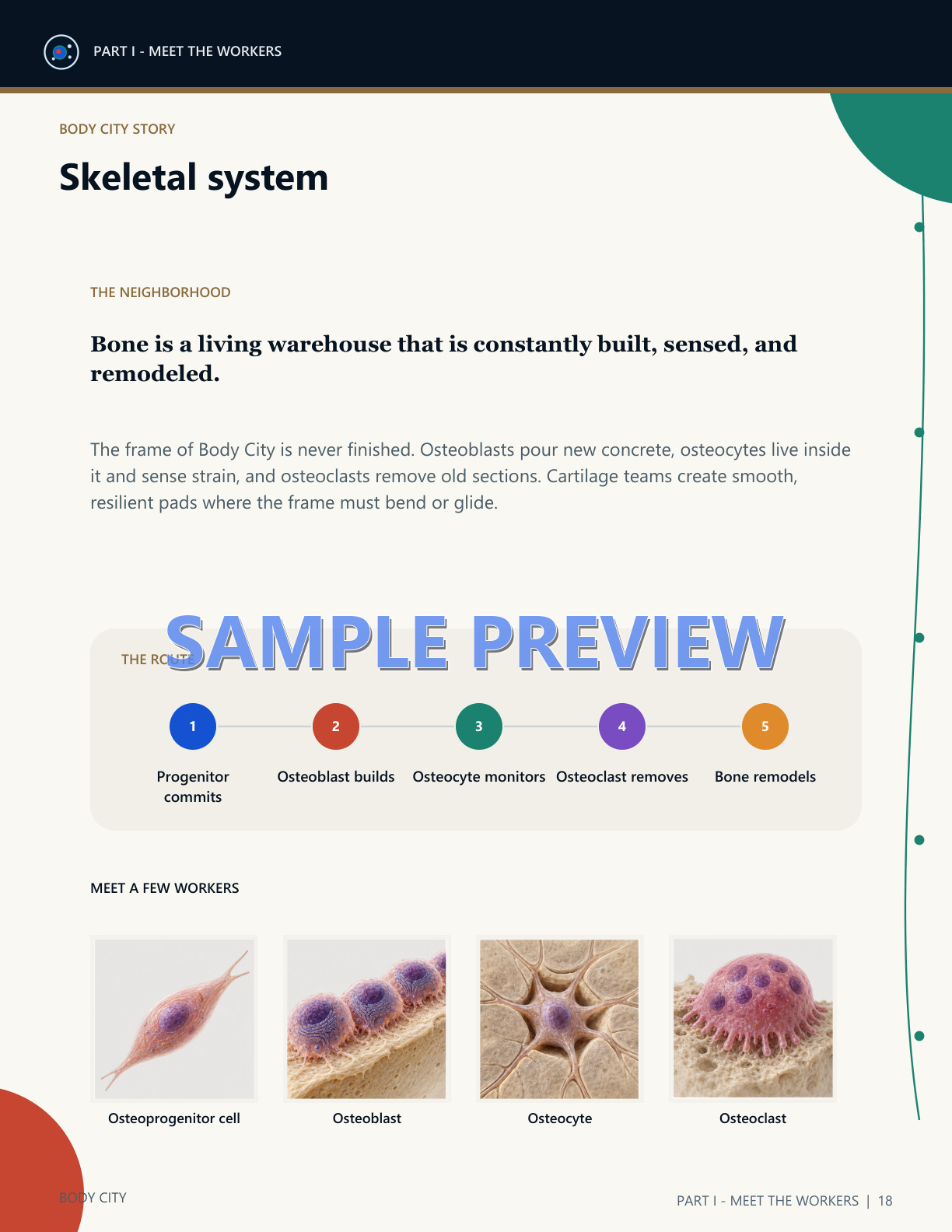 Body City physiology learning sample
